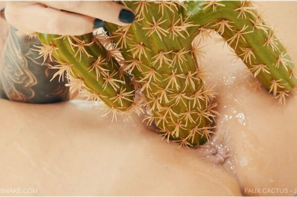 Jessica Faux Cactus - Pussy Fisting