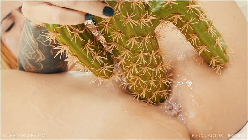 Jessica Faux Cactus - Pussy Fisting